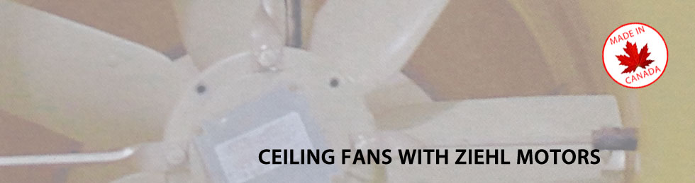 ceiling-fans-title-image